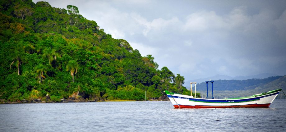 Ilha do Cardoso, em Cananeia, em São Paulo. (Foto: acervo